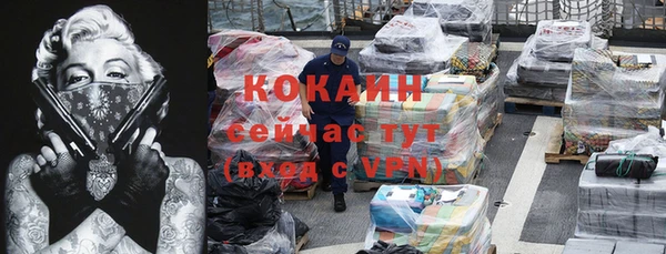 меф Пересвет