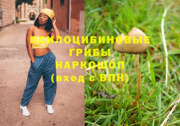 меф Пересвет